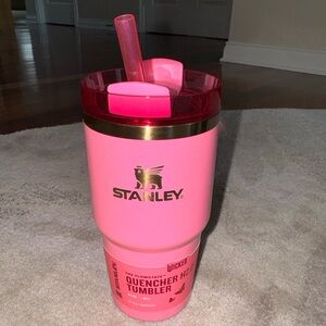 Stanley Wicked 20 oz